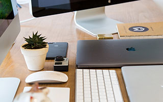 假吃瓜真吃瓜下一句是什么,揭秘网络舆论背后的真相