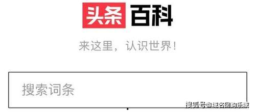 头条百科陈飞翔,科技领域的创新先锋与领军人物