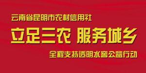 安宁新闻头条农信社,安宁新闻头条聚焦金融新篇章
