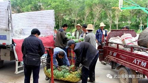 北关村吃瓜群众,揭秘乡村生活百态