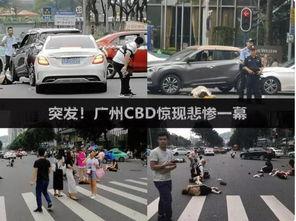 广州撞人吃瓜,吃瓜群众围观下的真相探寻