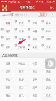 什么类型的是今日头条,个性化推荐算法背后的秘密