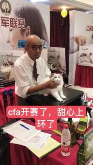 快手猫配音网红,萌声魅力，网络新宠