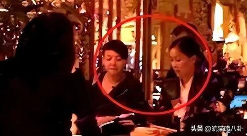 明星赌游戏,明星们的豪赌风云