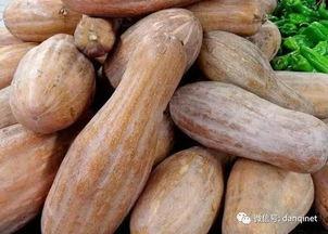 二岁吃方瓜,方瓜美食之旅