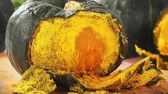 群众围观巨兽吃瓜,群众围观热议不断