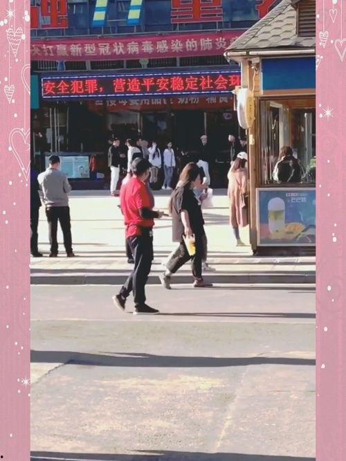 偶遇网红草原版视频大全,网红视频带你领略大美草原