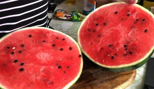 沙瓤瓜可以吃吗,美味与营养并存，食用指南揭秘