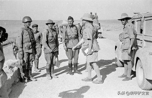 在伊朗吃瓜,探寻中东美食之旅