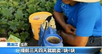 快穿嘎嘎吃瓜看戏