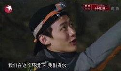 明星尿象,健康生活背后的秘密