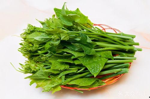 什么季节吃瓜尖最好,瓜尖鲜嫩正当季——夏季最佳食用指南