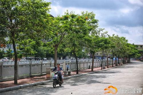 广州明星村,繁华背后的乡村传奇