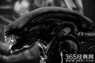 异形契约在线观看完整,探寻未知宇宙的恐怖与救赎