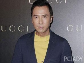 明星评价甄子丹,武术巨星的魅力与实力