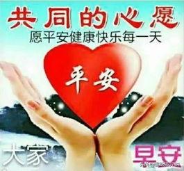 静秋头条,揭秘热点事件背后的真相与影响