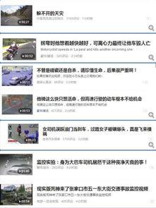 头条哪个类型的视频最多,娱乐类视频