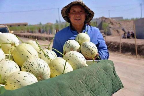 瓜州吃瓜套路,一网打尽夏日清凉美食攻略