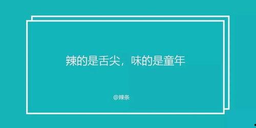 舌尖爆料视频文案短句,短视频背后的美食故事