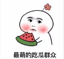 搞笑沙雕吃瓜娱乐圈小说