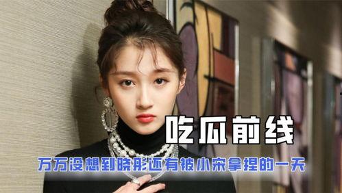 娱乐圈吃瓜是什么意思啊,娱乐圈“吃瓜”现象解析