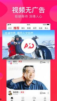 娱乐吃瓜聊天软件下载苹果版,揭秘热门聊天软件苹果版下载攻略