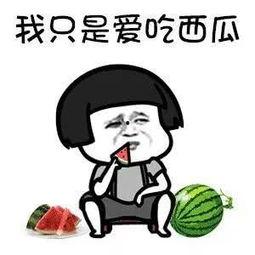 娱乐吃瓜项目是什么