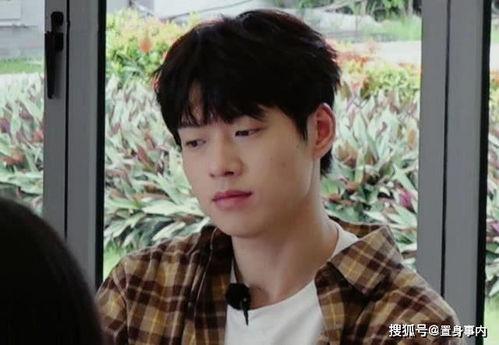 娱乐吃瓜所魏大勋,从娱乐吃瓜到人气飙升的明星之路