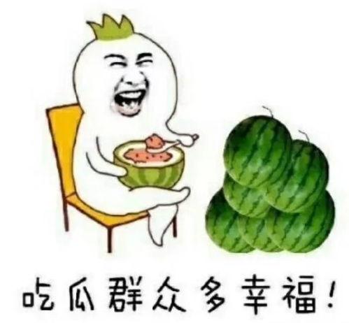 吃瓜娱乐猪