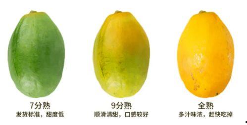 娱乐吃瓜免费吃瓜入口