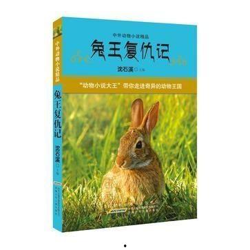 娱乐吃瓜兔子小说在线阅读,小说世界里的欢乐与八卦