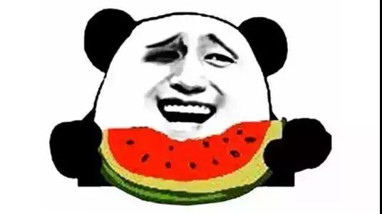 娱乐吃瓜兔子小说在线阅读,小说世界里的欢乐与八卦