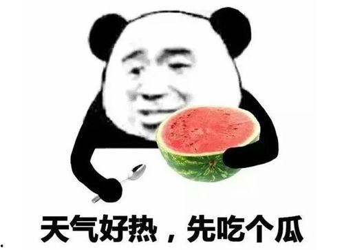 表情吃瓜是啥意思,揭秘网络流行语背后的趣味与内涵